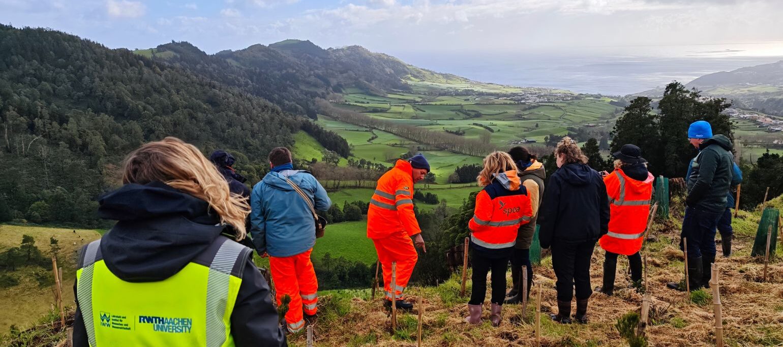 Trabalho da SPEA Açores inspira especialistas europeus em conservação