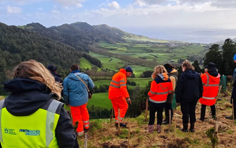 Trabalho da SPEA Açores inspira especialistas europeus em conservação